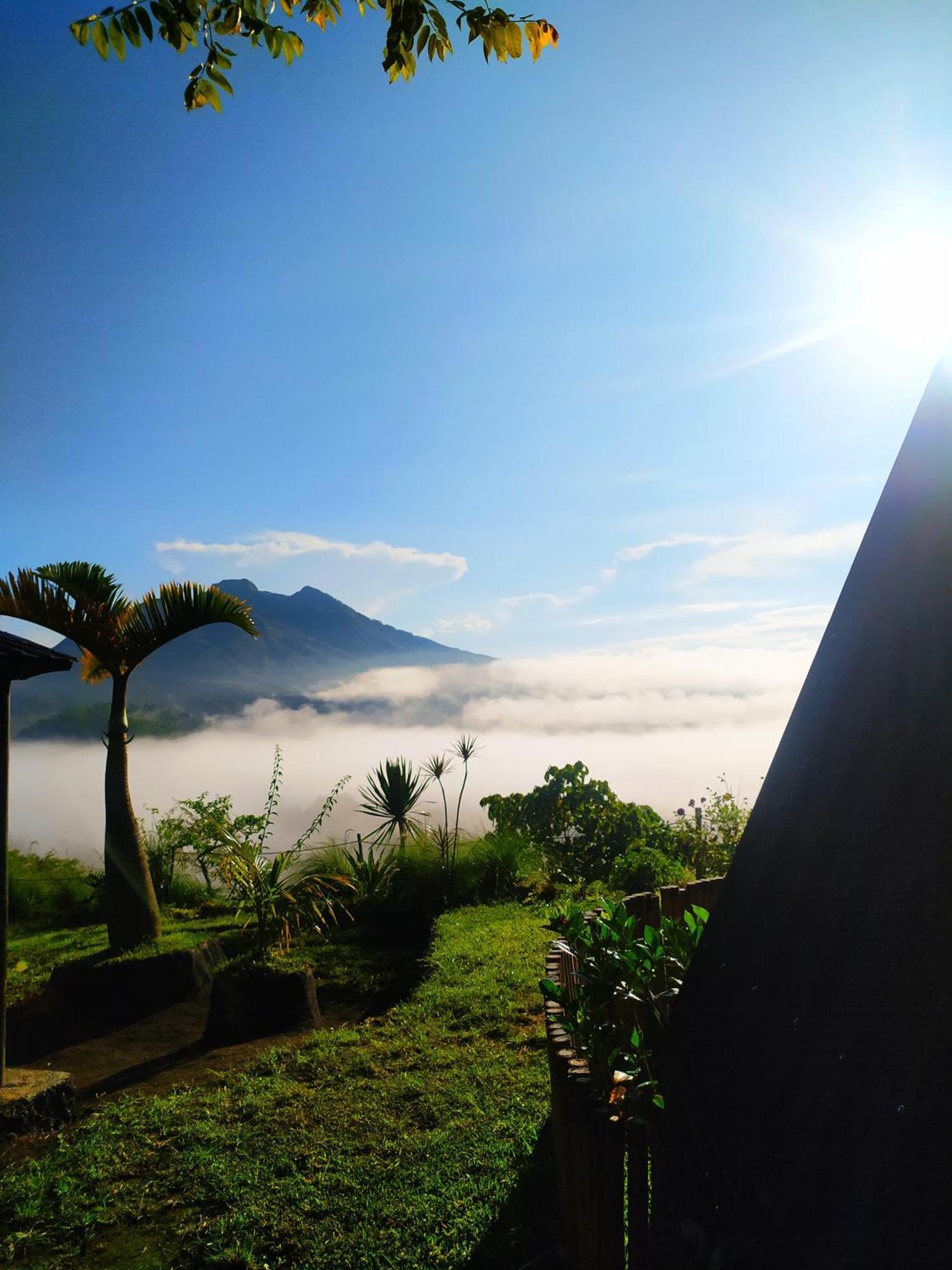 Kintamani Adventures 'Hide In Nature Lodge' Luaran gambar